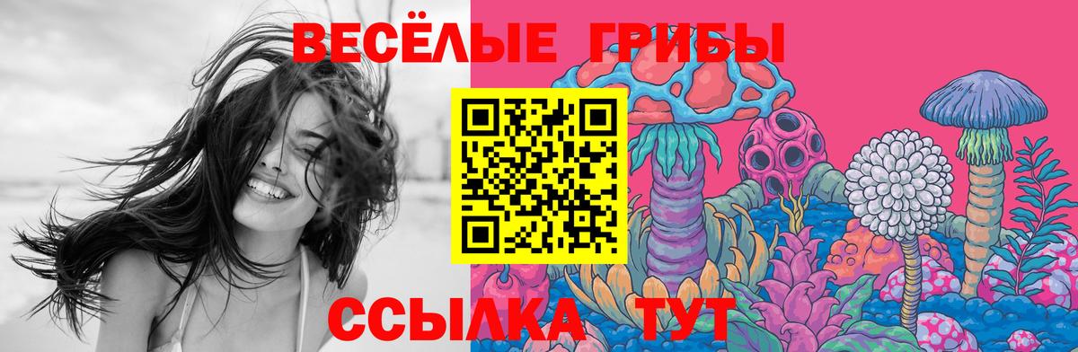 Екатеринбург  Псилоцибиновые грибы мухоморы  Вход с VPN 